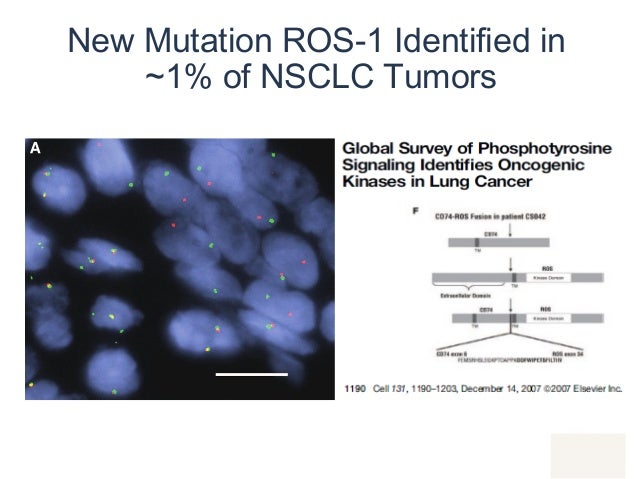 Transitioning Survival from Months to Years in Advanced