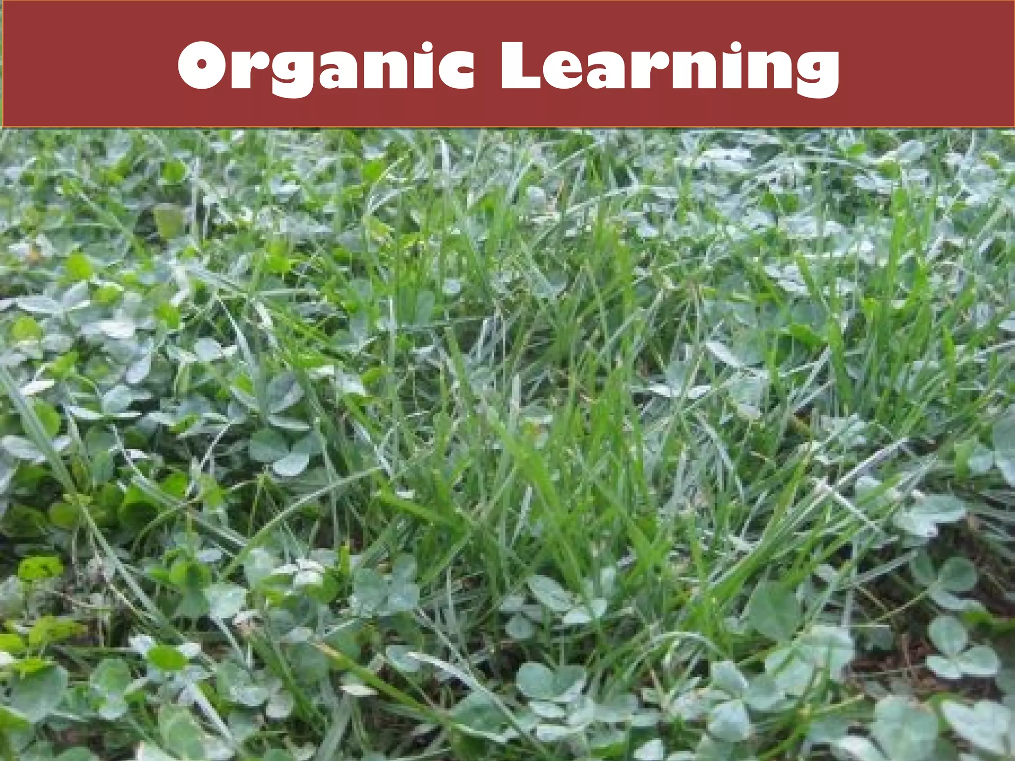 Organic Learning
 