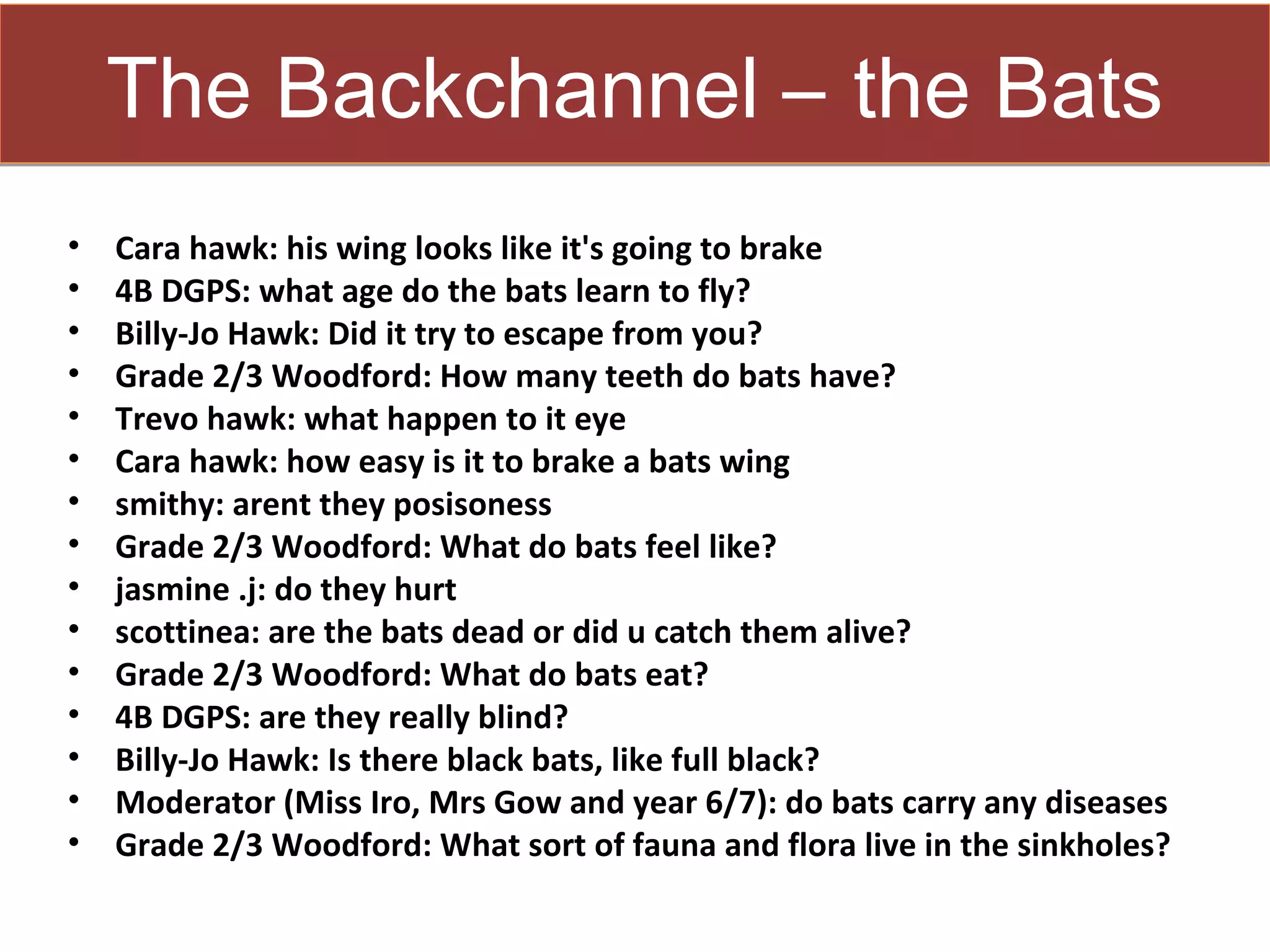 The Backchannel – the Bats
•   Cara hawk: his wing looks like it's going to brake
•   4B DGPS: what age do the bats learn to fly?
•   Billy-Jo Hawk: Did it try to escape from you?
•   Grade 2/3 Woodford: How many teeth do bats have?
•   Trevo hawk: what happen to it eye
•   Cara hawk: how easy is it to brake a bats wing
•   smithy: arent they posisoness
•   Grade 2/3 Woodford: What do bats feel like?
•   jasmine .j: do they hurt
•   scottinea: are the bats dead or did u catch them alive?
•   Grade 2/3 Woodford: What do bats eat?
•   4B DGPS: are they really blind?
•   Billy-Jo Hawk: Is there black bats, like full black?
•   Moderator (Miss Iro, Mrs Gow and year 6/7): do bats carry any diseases
•   Grade 2/3 Woodford: What sort of fauna and flora live in the sinkholes?
 