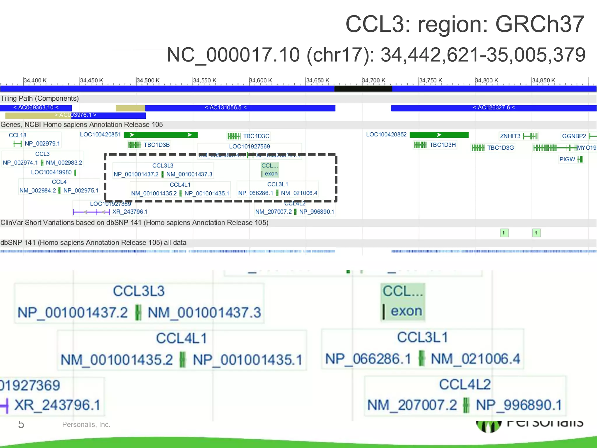 Personalis, Inc.5
CCL3: region: GRCh37
NC_000017.10 (chr17): 34,442,621-35,005,379
 