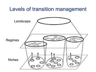 Transition management & the multi-level perspective | PPTX