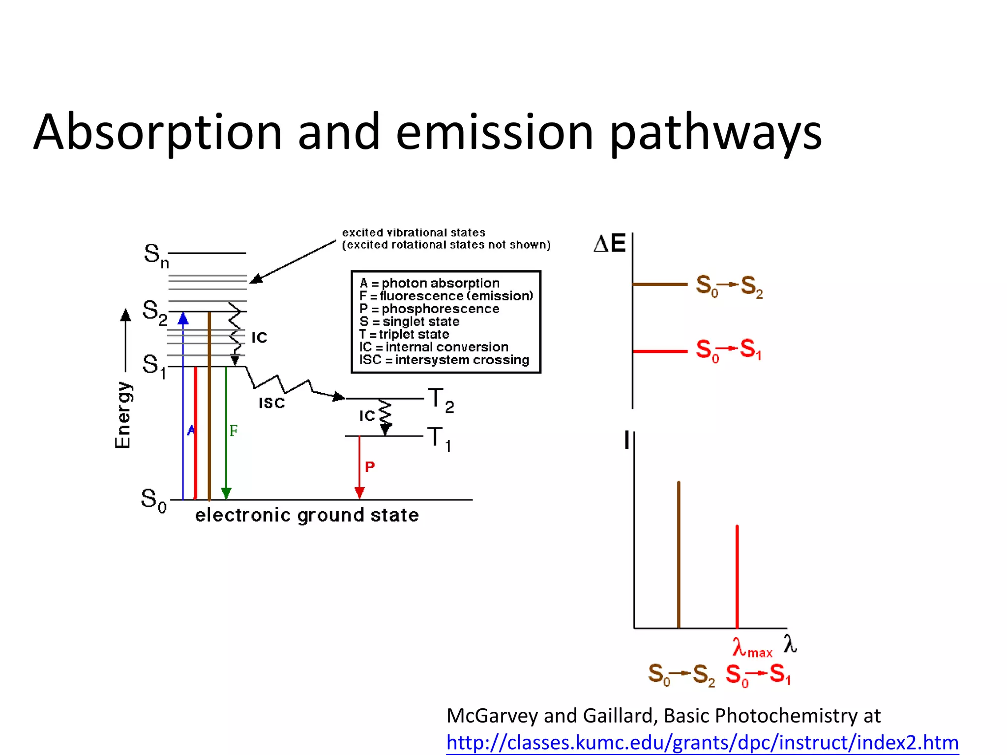 Absorption and emission pathways 
McGarvey and Gaillard, Basic Photochemistry at 
http://classes.kumc.edu/grants/dpc/instruct/index2.htm 
 