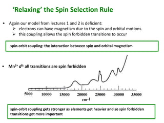 ‘Relaxing’ the Spin Selection Rule 
• Again our model from lectures 1 and 2 is deficient: 
 electrons can have magnetism due to the spin and orbital motions 
 this coupling allows the spin forbidden transitions to occur 
spin-orbit coupling: the interaction between spin and orbital magnetism 
• Mn2+ d5: all transitions are spin forbidden 
spin-orbit coupling gets stronger as elements get heavier and so spin forbidden 
transitions get more important 
 
