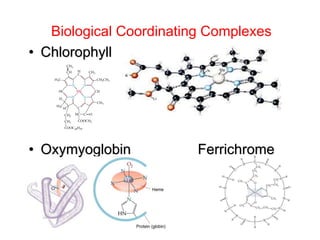 Biological Coordinating Complexes
• Chlorophyll
• Oxymyoglobin Ferrichrome
 