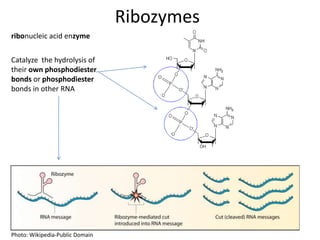 transition metals reactivity transition metals reactivity