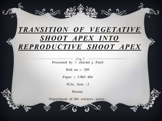 TRANSITION OF VEGETATIVE
SHOOT APEX INTO
REPRODUCTIVE SHOOT APEX
Presented by :- charmi j . Patel
Roll no :- 209
Paper :- CBO 404
M.Sc. Sem - 2
Botany
Department of life sciences , patan .
 