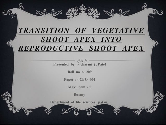 Transition Of Vegetative Shoot Apex Into Reproductive Shoot