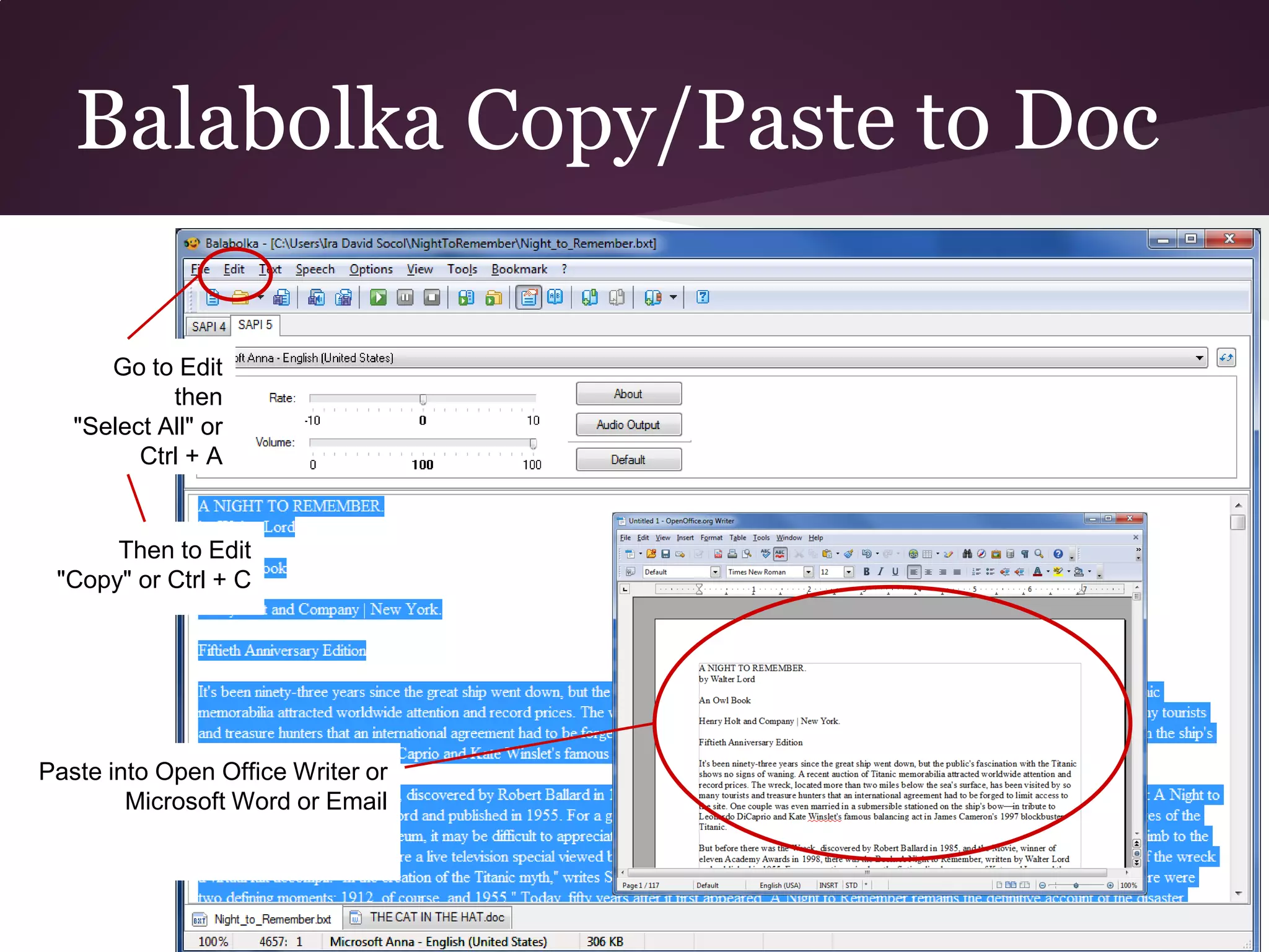 Balabolka Copy/Paste to Doc

      Go to Edit
            then
   "Select All" or
         Ctrl + A


      Then to Edit
 "Copy" or Ctrl + C




Paste into Open Office Writer or
        Microsoft Word or Email
 