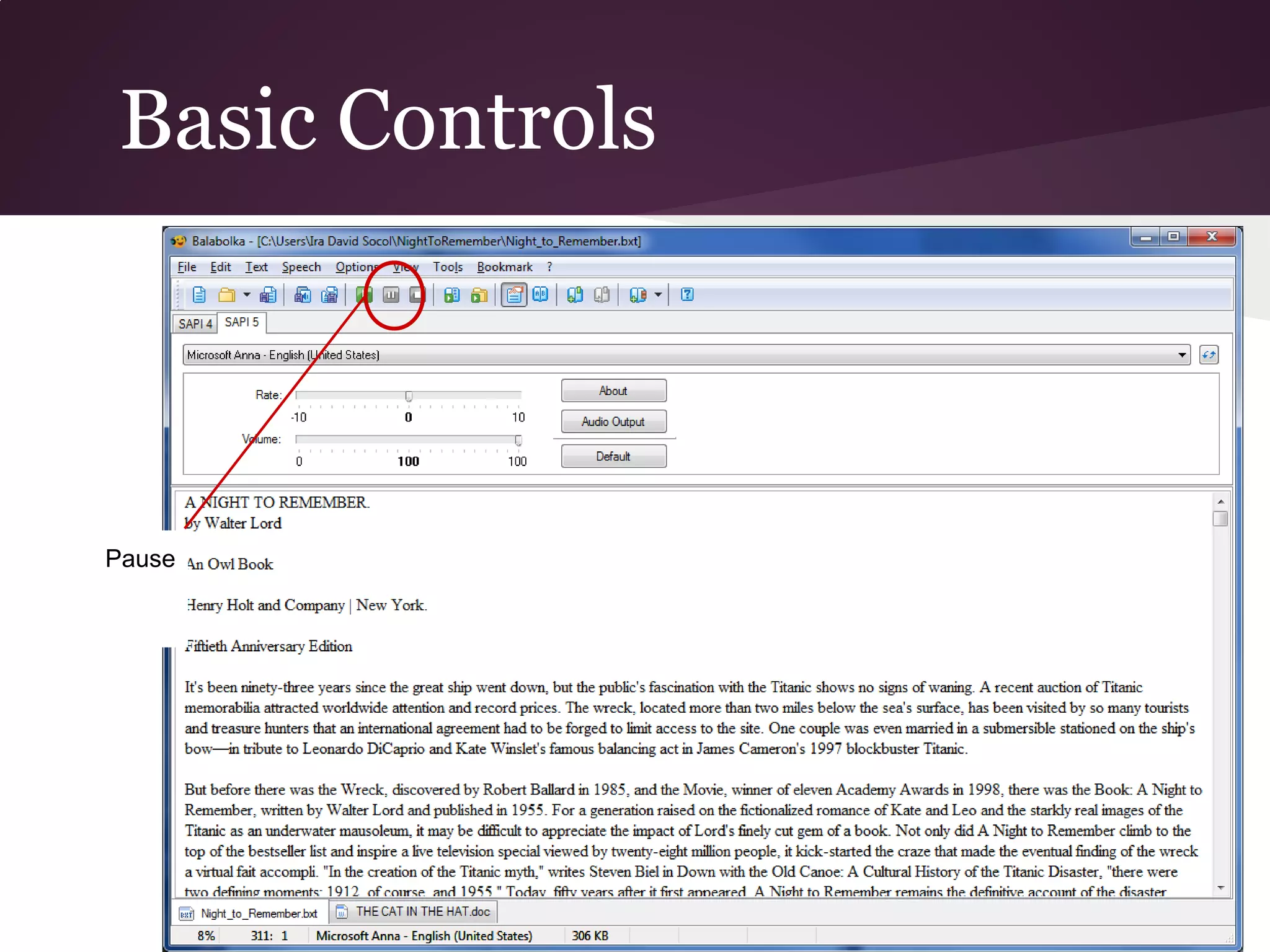 Basic Controls



Pause
 