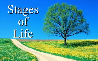StagesStages
ofof
LifeLife
 