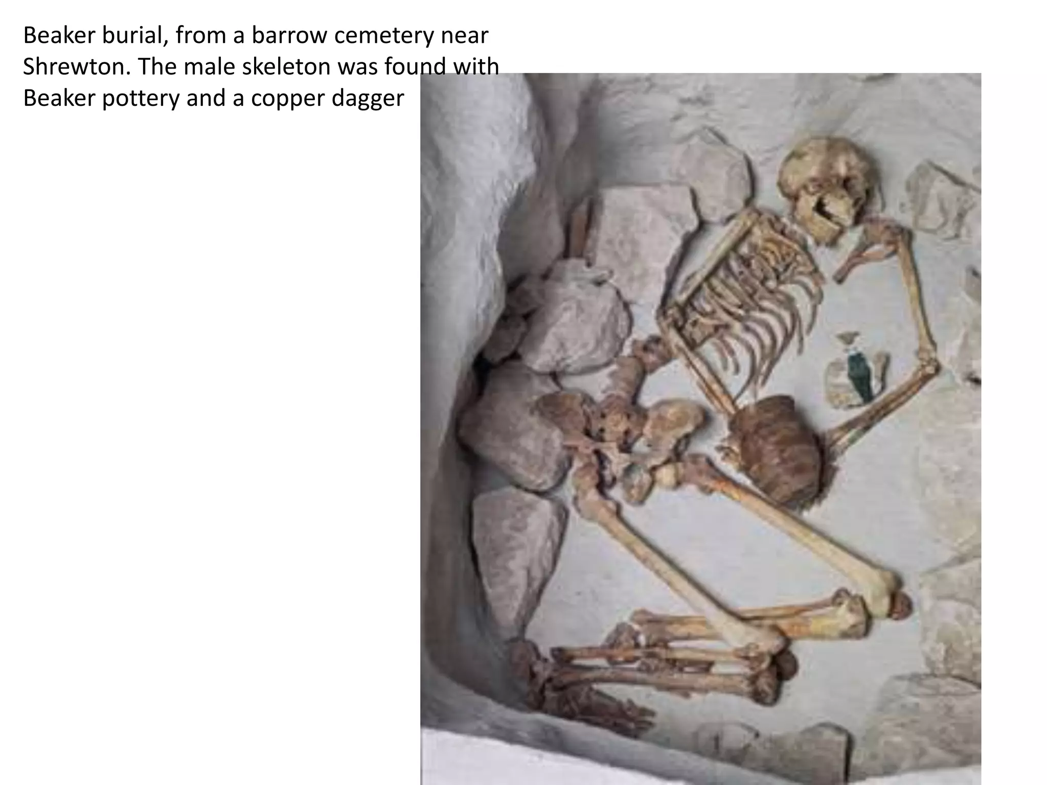 Beaker burial, from a barrow cemetery near
Shrewton. The male skeleton was found with
Beaker pottery and a copper dagger
 