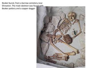 Beaker burial, from a barrow cemetery near
Shrewton. The male skeleton was found with
Beaker pottery and a copper dagger
 
