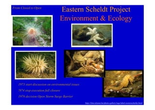 From Closed to Open
                                  Eastern Scheldt Project
                                  Environment & Ecology




   1973 start discussion on environmental issues
   !974 stop execution full closure
   1976 decision Open Storm Surge Barrier
                                                   http://foto.telenet.be/photo-gallery/tags/label-oosterschelde.html
 