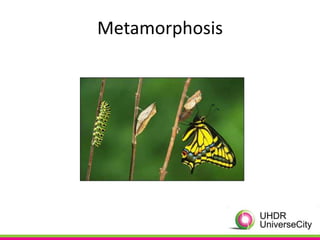 Metamorphosis
 