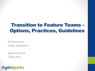 Transition to Feature Teams –
Options, Practices, Guidelines
Gil Wasserman
Coach, AgileSparks
AgileIsrael 2013
7 May 2013
 