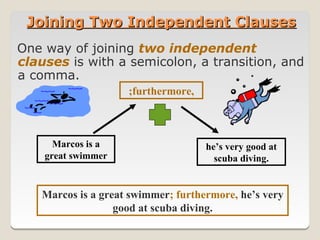Joining Two Independent Clauses
One way of joining two independent
clauses is with a semicolon, a transition, and
a comma.
                    ;furthermore,



      Marcos is a                   he’s very good at
    great swimmer                     scuba diving.


   Marcos is a great swimmer; furthermore, he’s very
                  good at scuba diving.
 