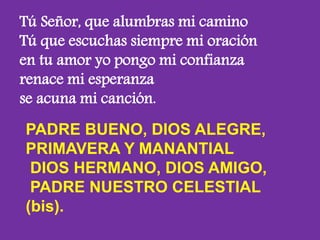 Tú Señor, que alumbras mi camino 
Tú que escuchas siempre mi oración 
en tu amor yo pongo mi confianza 
renace mi esperanz...