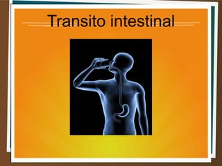 Transito intestinal
 