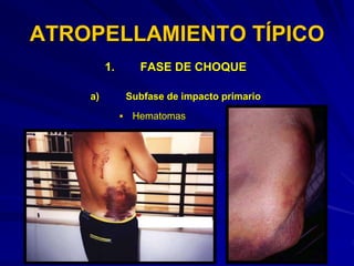 TRANSITO TERRESTRE.ppt