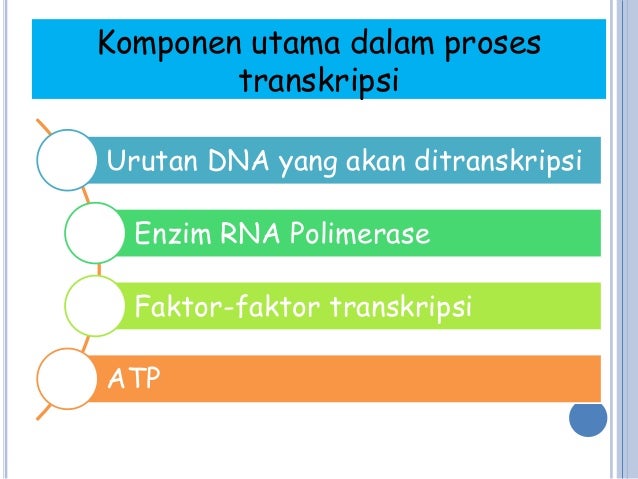 Transkripsi