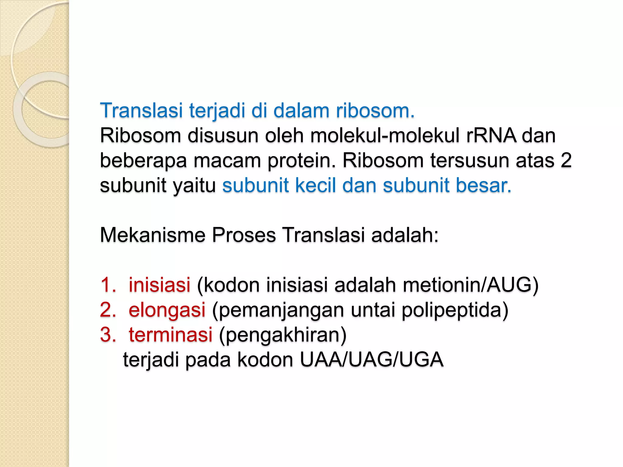 Transkripsi & Translasi | PPTX