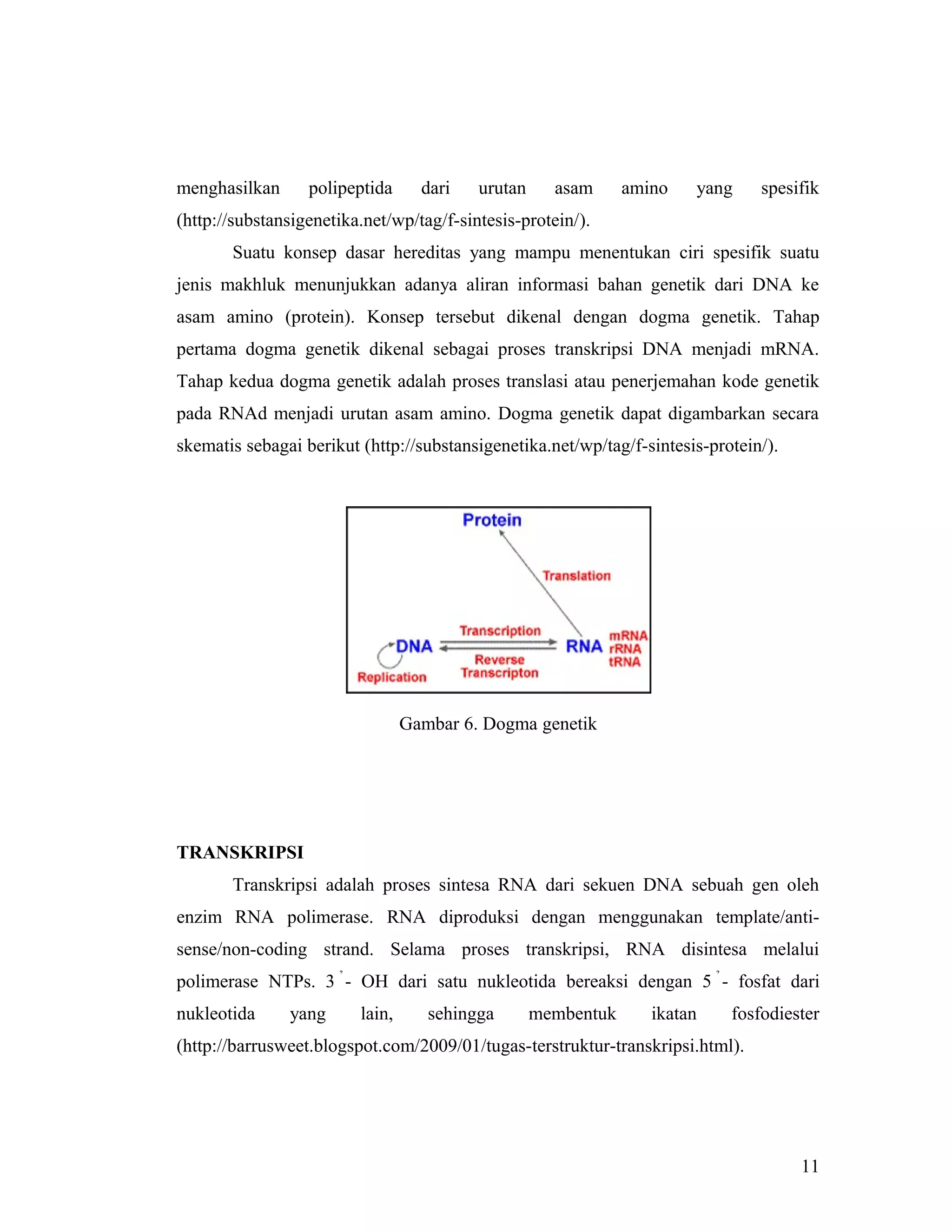 Transkripsi, translasi dan replikasi | DOC
