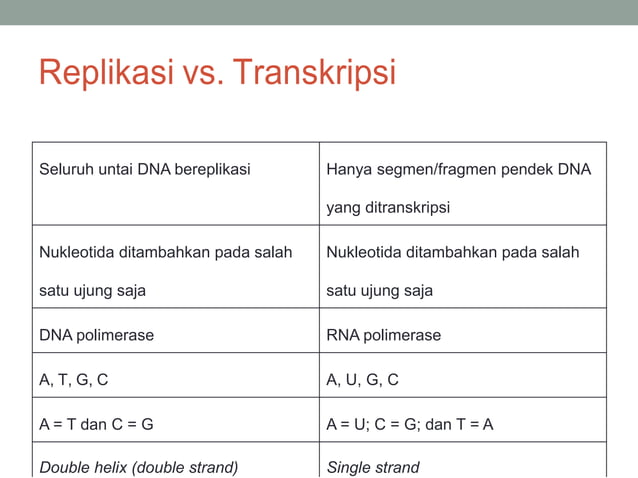 TRANSKRIPSI TRANSLASI DNA OK.pdf
