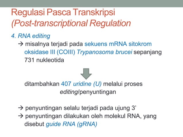 TRANSKRIPSI TRANSLASI DNA OK.pdf