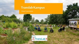TranslabKampus
Over Commons
 