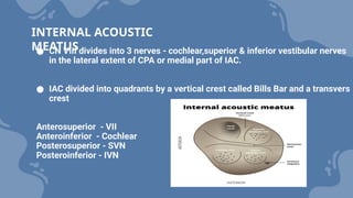 ● CN VIII divides into 3 nerves - cochlear,superior & inferior vestibular nerves
in the lateral extent of CPA or medial part of IAC.
● IAC divided into quadrants by a vertical crest called Bills Bar and a transvers
crest
Anterosuperior - VII
Anteroinferior - Cochlear
Posterosuperior - SVN
Posteroinferior - IVN
INTERNAL ACOUSTIC
MEATUS
 