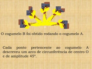 C
                                 B




                                     A

                       O


O cogumelo B foi obtido rodando o cogumelo A.


Cada ponto pertencente ao cogumelo A
descreveu um arco de circunferência de centro O
e de amplitude 45º.
 