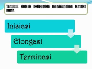 Tanslasi: sintesis polipeptida menggunakan templet
mRNA
Inisiasi
Elongasi
Terminasi
 