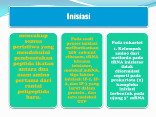 Inisiasi
mencakup
semua
peristiwa yang
mendahului
pembentukan
peptida ikatan
antara dua
asam amino
pertama dari
rantai
polipeptida
baru.
Pada ecoli
proses inisiasi
melibatkatkan
30S subunit
ribosom, tRNA
khusus
inisiator,
molekul mRNA,
tiga faktor
inisiasi: IF-1, IF-
2, dan IF-3 yang
larut dalam
protein , dan
satu molekul
GTP
Pada eukariot
1. Kelompok
amino dari
metionin pada
tRNA inisiator
tidak
diformilasi
seperti pada
prokariota (2)
kompleks
inisiasi
terbentuk pada
ujung 5’ mRNA
 