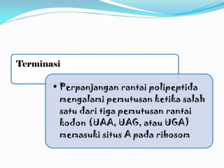 Terminasi
• Perpanjangan rantai polipeptida
mengalami pemutusan ketika salah
satu dari tiga pemutusan rantai
kodon (UAA, UAG, atau UGA)
memasuki situs A pada ribosom
 