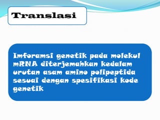 Translasi
Imforamsi genetik pada molekul
mRNA diterjemahkan kedalam
urutan asam amino polipeptida
sesuai dengan spesifikasi kode
genetik
 