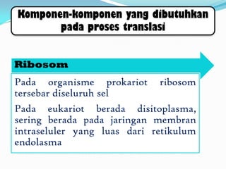 Komponen-komponen yang dibutuhkan
pada proses translasi
Ribosom
Pada organisme prokariot ribosom
tersebar diseluruh sel
Pada eukariot berada disitoplasma,
sering berada pada jaringan membran
intraseluler yang luas dari retikulum
endolasma
 