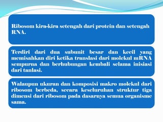 Ribosom kira-kira setengah dari protein dan setengah
RNA.
Terdiri dari dua subunit besar dan kecil yang
memisahkan diri ketika translasi dari molekul mRNA
sempurna dan berhubungan kembali selama inisiasi
dari tanlasi.
Walaupun ukuran dan komposisi makro molekul dari
ribosom berbeda, secara keseluruhan struktur tiga
dimensi dari ribosom pada dasarnya semua organisme
sama.
 