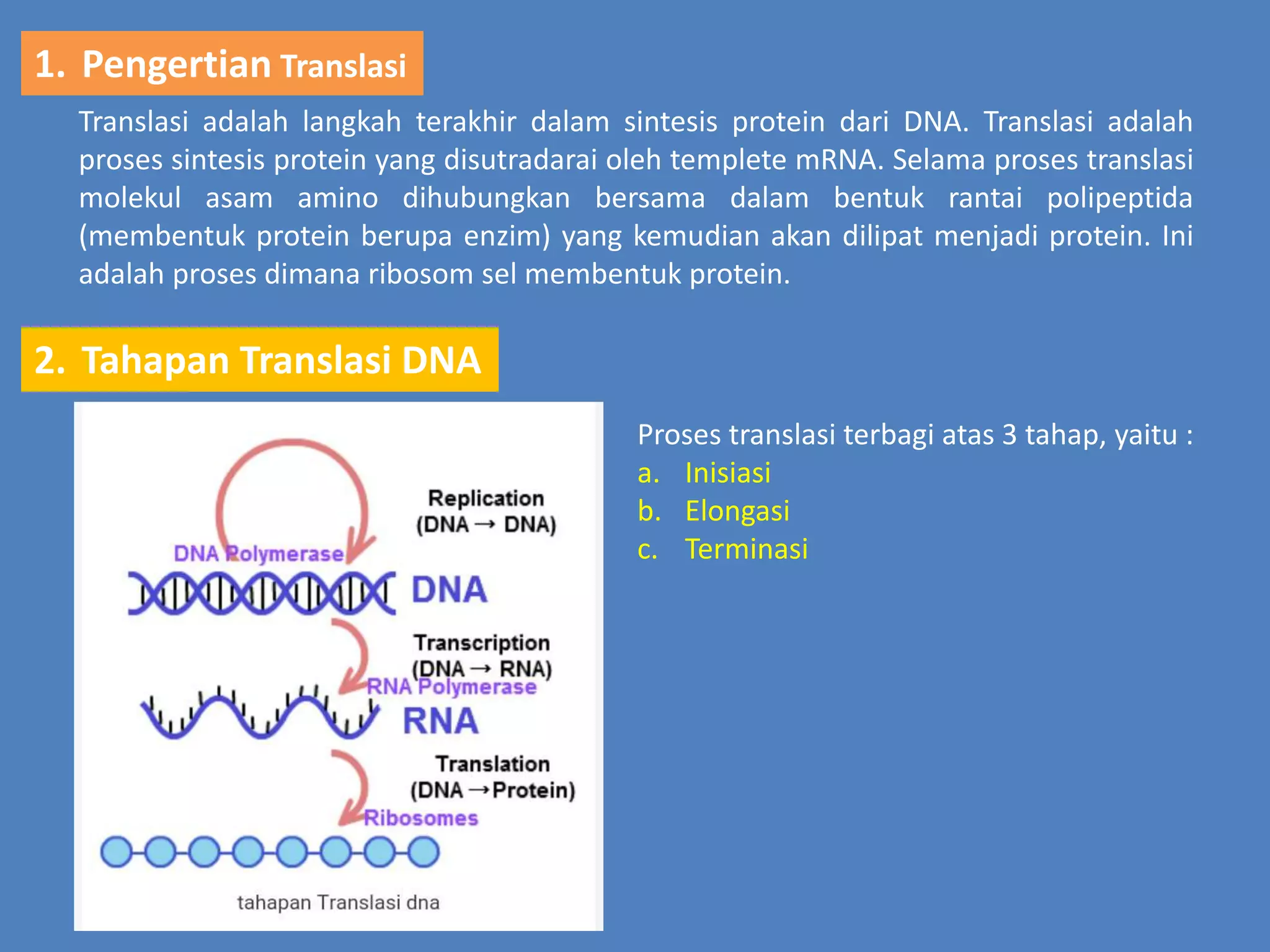 Translasi DNA | PPTX
