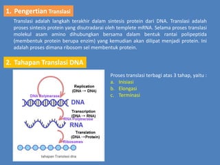 Translasi DNA