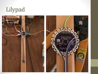Lilypad
 