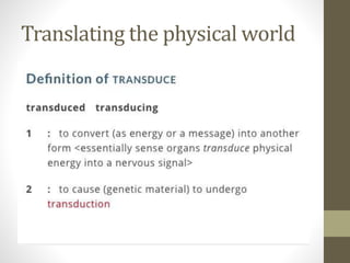 Translating the physical world
 