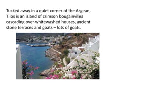 Tucked away in a quiet corner of the Aegean,
Tilos is an island of crimson bougainvillea
cascading over whitewashed houses, ancient
stone terraces and goats – lots of goats.
 