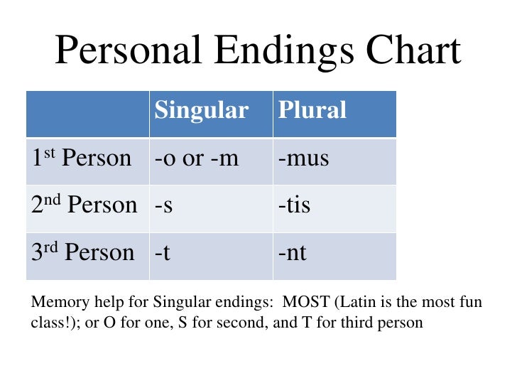 translate verbs latin verb conjugation charts