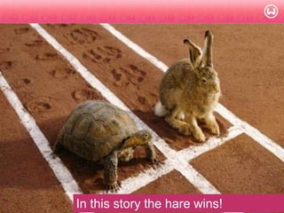 © W 2008
In this story the hare wins!
 