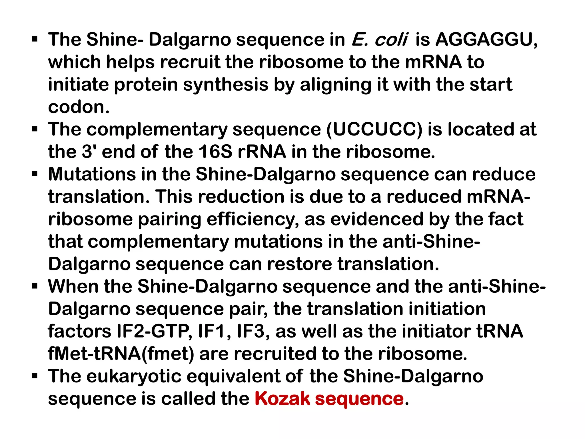  The Shine- Dalgarno sequence in E. coli is AGGAGGU,
  which helps recruit the ribosome to the mRNA to
  initiate protein synthesis by aligning it with the start
  codon.
 The complementary sequence (UCCUCC) is located at
  the 3' end of the 16S rRNA in the ribosome.
 Mutations in the Shine-Dalgarno sequence can reduce
  translation. This reduction is due to a reduced mRNA-
  ribosome pairing efficiency, as evidenced by the fact
  that complementary mutations in the anti-Shine-
  Dalgarno sequence can restore translation.
 When the Shine-Dalgarno sequence and the anti-Shine-
  Dalgarno sequence pair, the translation initiation
  factors IF2-GTP, IF1, IF3, as well as the initiator tRNA
  fMet-tRNA(fmet) are recruited to the ribosome.
 The eukaryotic equivalent of the Shine-Dalgarno
  sequence is called the Kozak sequence.
 