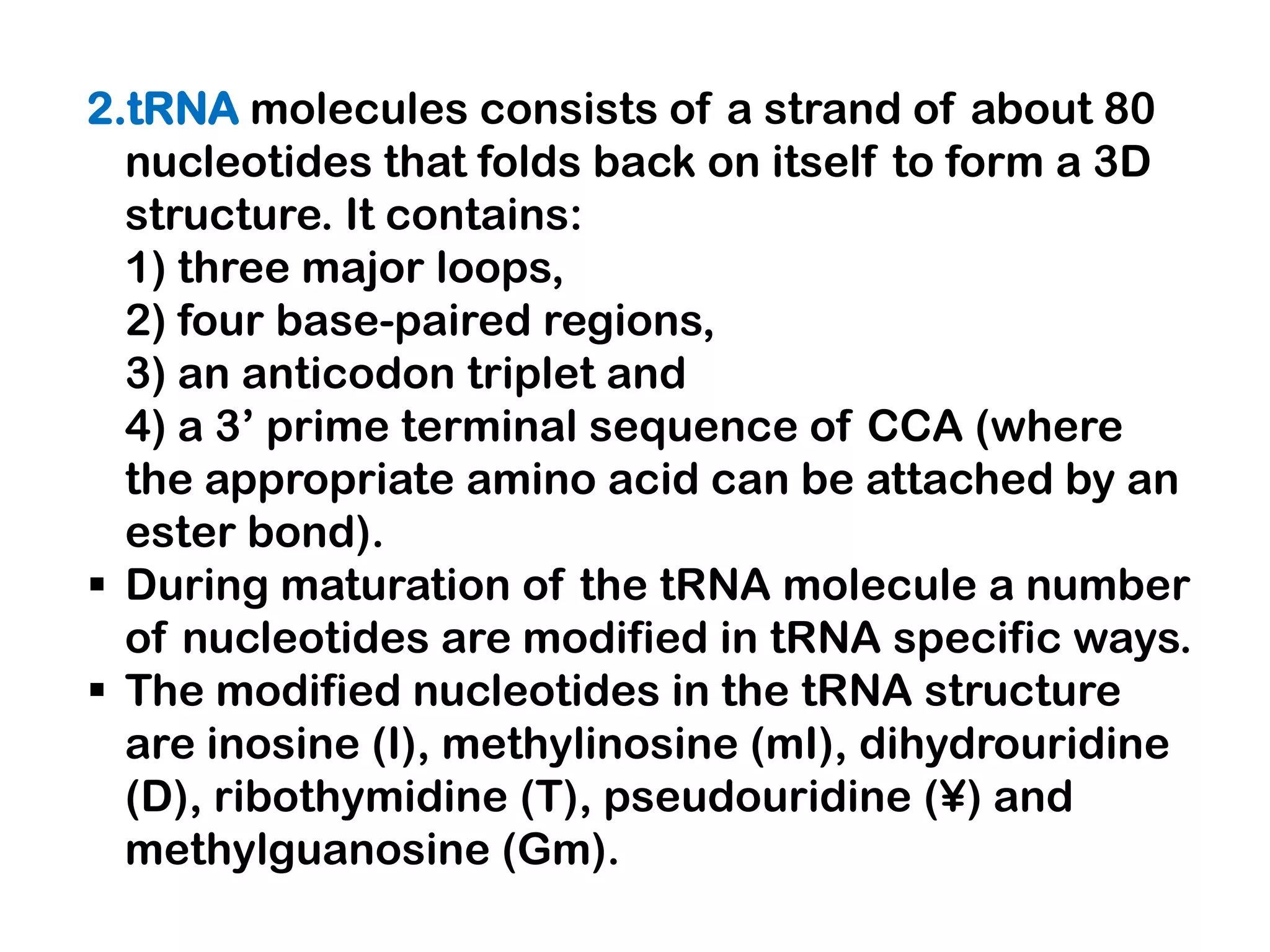 2.tRNA molecules consists of a strand of about 80
  nucleotides that folds back on itself to form a 3D
  structure. It contains:
  1) three major loops,
  2) four base-paired regions,
  3) an anticodon triplet and
  4) a 3’ prime terminal sequence of CCA (where
  the appropriate amino acid can be attached by an
  ester bond).
 During maturation of the tRNA molecule a number
  of nucleotides are modified in tRNA specific ways.
 The modified nucleotides in the tRNA structure
  are inosine (I), methylinosine (mI), dihydrouridine
  (D), ribothymidine (T), pseudouridine (¥) and
  methylguanosine (Gm).
 