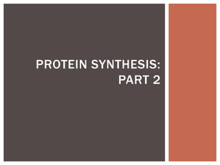 PROTEIN SYNTHESIS:
           PART 2
 
