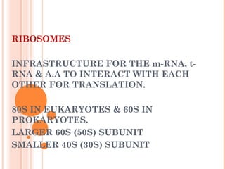 Translation | PPT