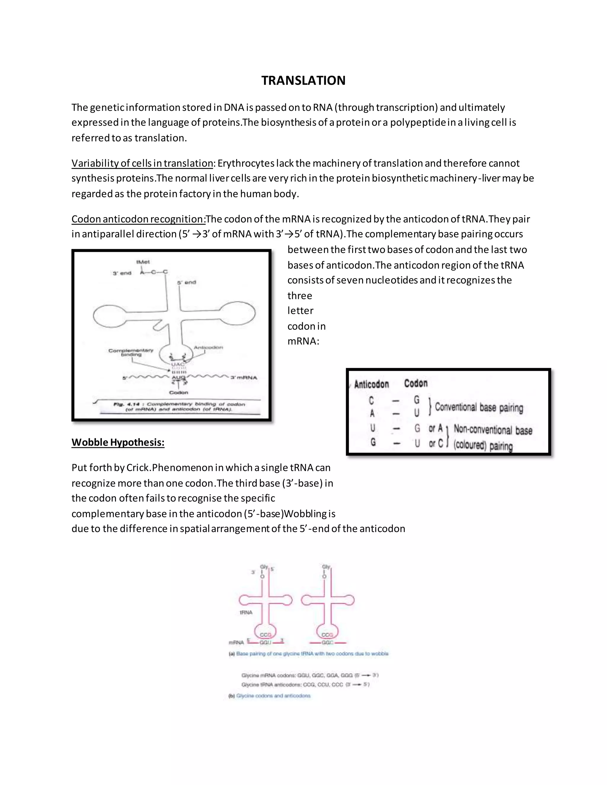 Translation in prokaryotes and eukaryotes | DOCX
