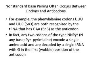 Nonstandard Base Pairing Often Occurs Between
Codons and Anticodons
• For example, the phenylalanine codons UUU
and UUC (5n3) are both recognized by the
tRNA that has GAA (5n3) as the anticodon
• In fact, any two codons of the type NNPyr (N
any base; Pyr pyrimidine) encode a single
amino acid and are decoded by a single tRNA
with G in the first (wobble) position of the
anticodon
 
